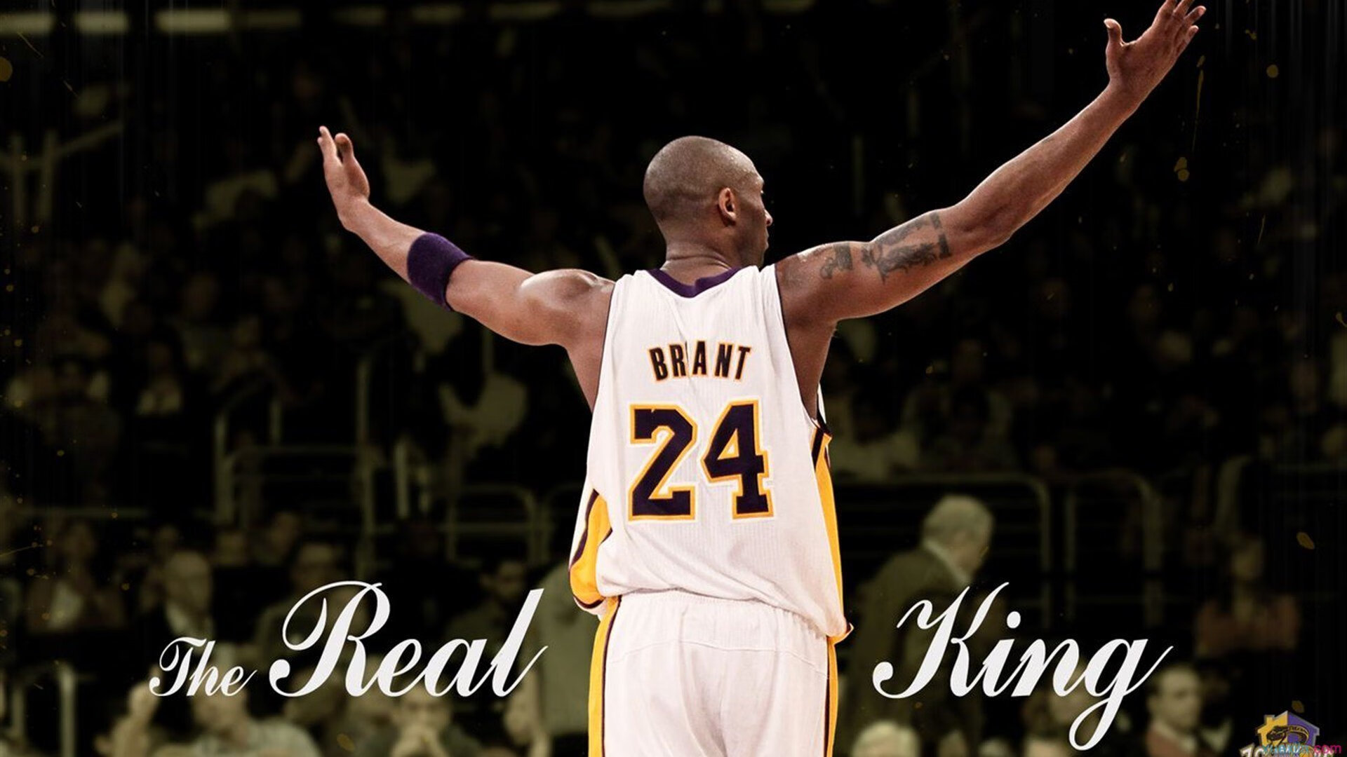 维尼修斯一剑封喉,里昂终结拜仁王朝,欧冠新秩序降临